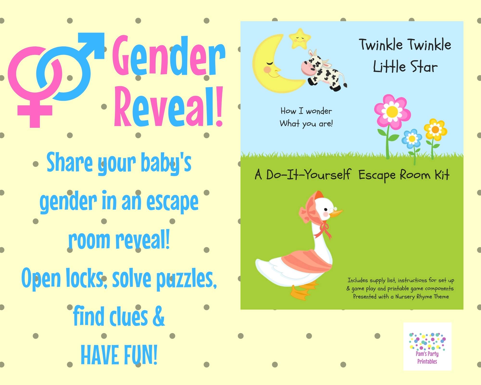 Gender Reveal Baby Shower Game Set